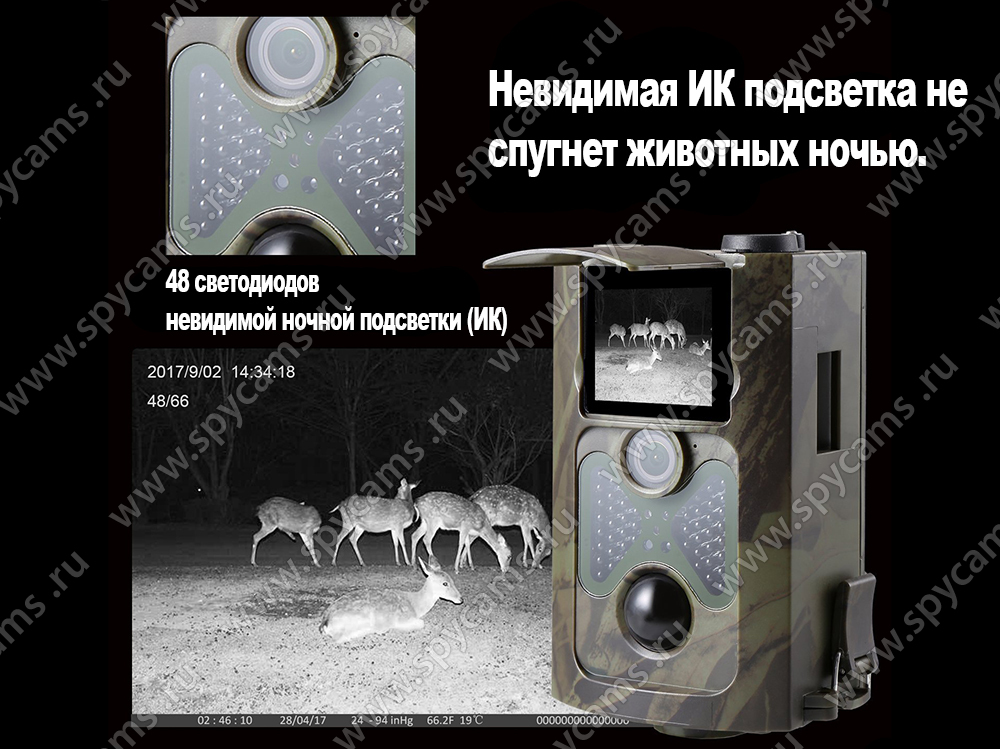 Фотоловушка нс 801а. Технические характеристики фотоловушек. Филин фотоловушка коды смс. Фотоловушка н с 801 а характеристика описание. Фотоловушка Филин смс команды
